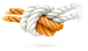 Partnerships & Affiliate Services