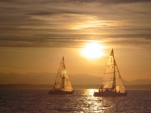 sailboats